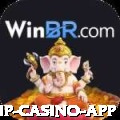 pg VIP Casino App